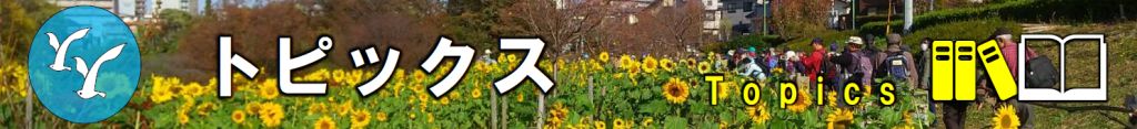 トピックス