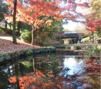 11月お勧め画像