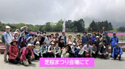 ②本栖湖芝桜まつり